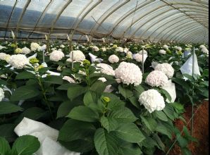 如何通過光穩(wěn)定劑降低塑料制品生命周期成本 如何通過光穩(wěn)定劑降低塑料制品生命周期成本