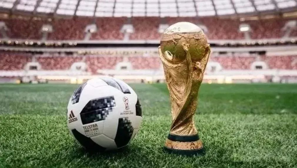 人造草走紅世界杯,背后的中國材料科技藏不住了! 人造草走紅世界杯,背后的中國材料科技藏不住了!