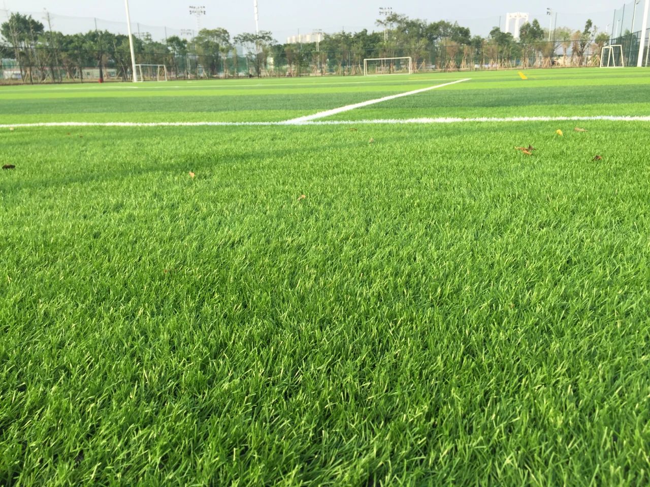 創新不止步，北京天罡新一代光穩定劑蟬聯“榮格技術創新獎”