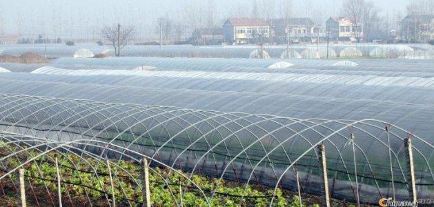 ?光穩(wěn)定劑的作用機理和原理 ?光穩(wěn)定劑的作用機理和原理