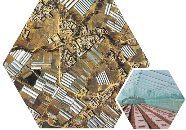 光穩定劑在汽車內飾中的應用：守護駕乘空間的美觀與安全